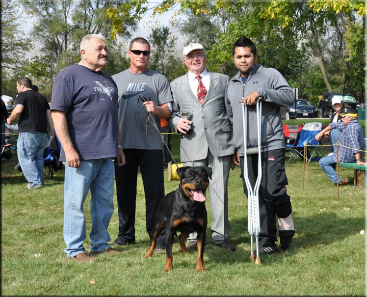 rottweiler breeders in tennessee rottweiler breeders in tennessee rottweiler breeders in tennessee rottweiler breeders in tennessee