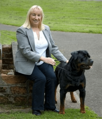 rottweiler breeders in scotland rottweiler breeders in great britain rottweiler breeders in scotland rottweiler breeders in great britain