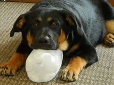 Frozen Bottle Exercise
